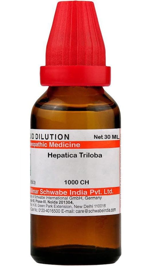Dr Willmar Schwabe India Hepatica Triloba Dilution - 1000 CH |HETR160F|