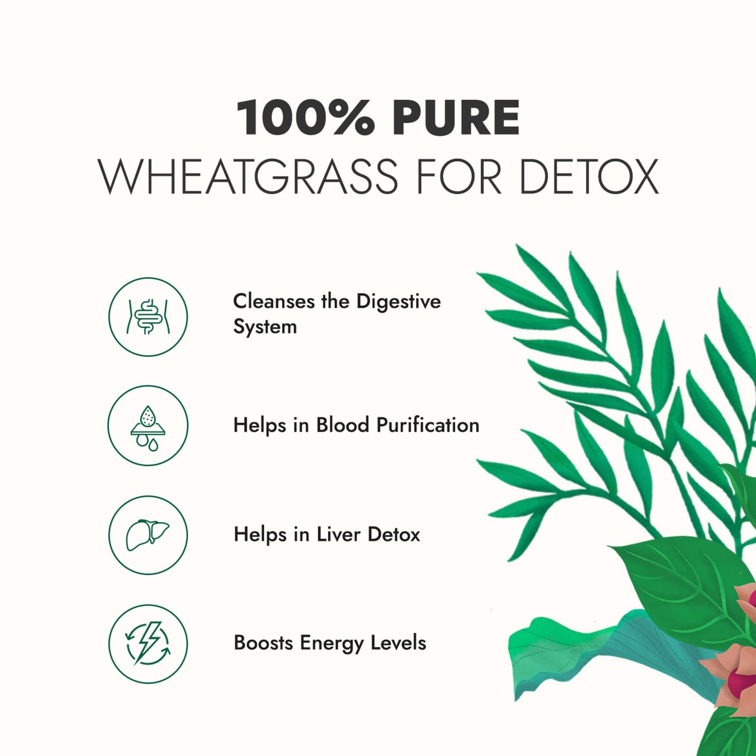 Kapiva Aloe Vera Juice + Wheatgrass Juice – view 5