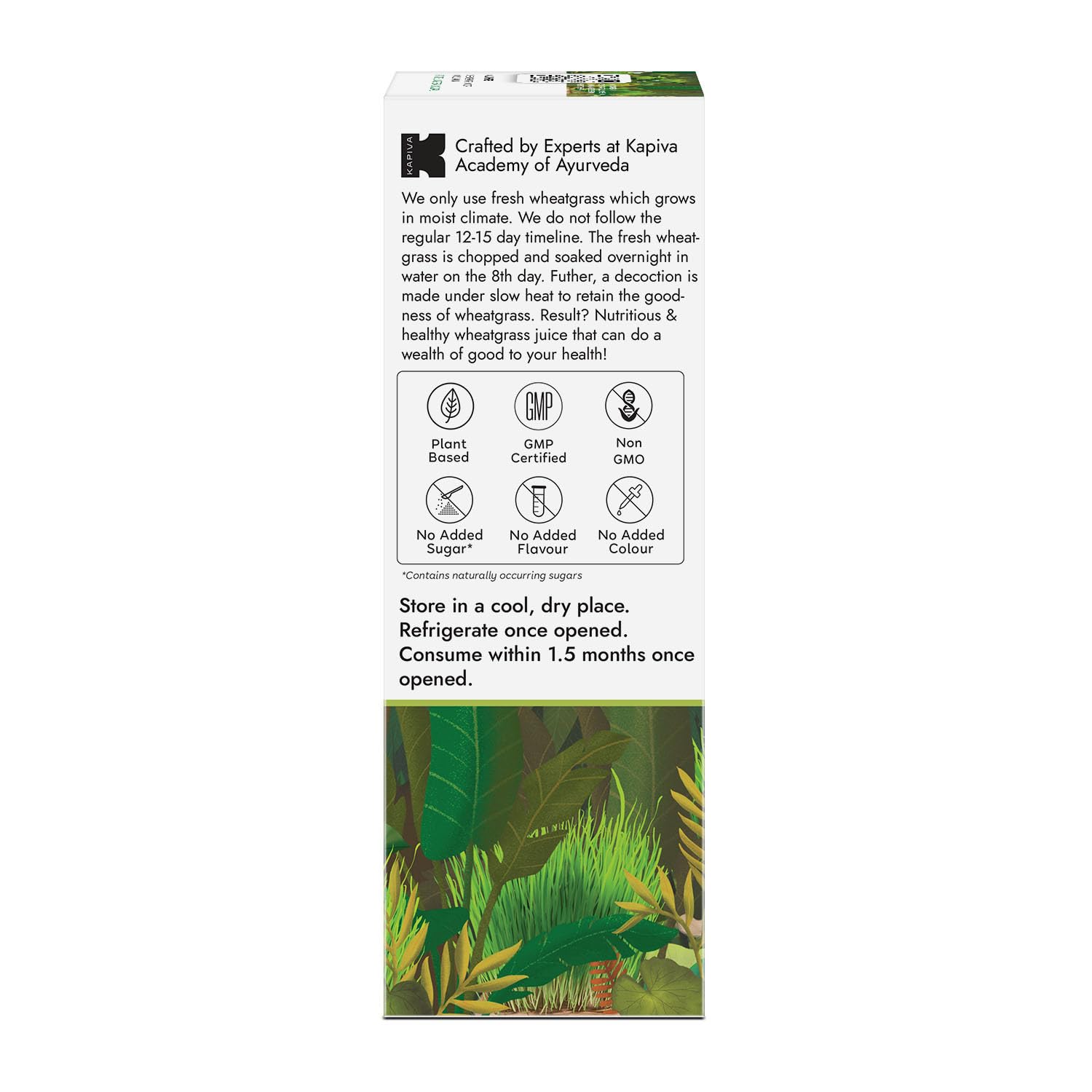 Kapiva Aloe Vera Juice + Wheatgrass Juice – view 6