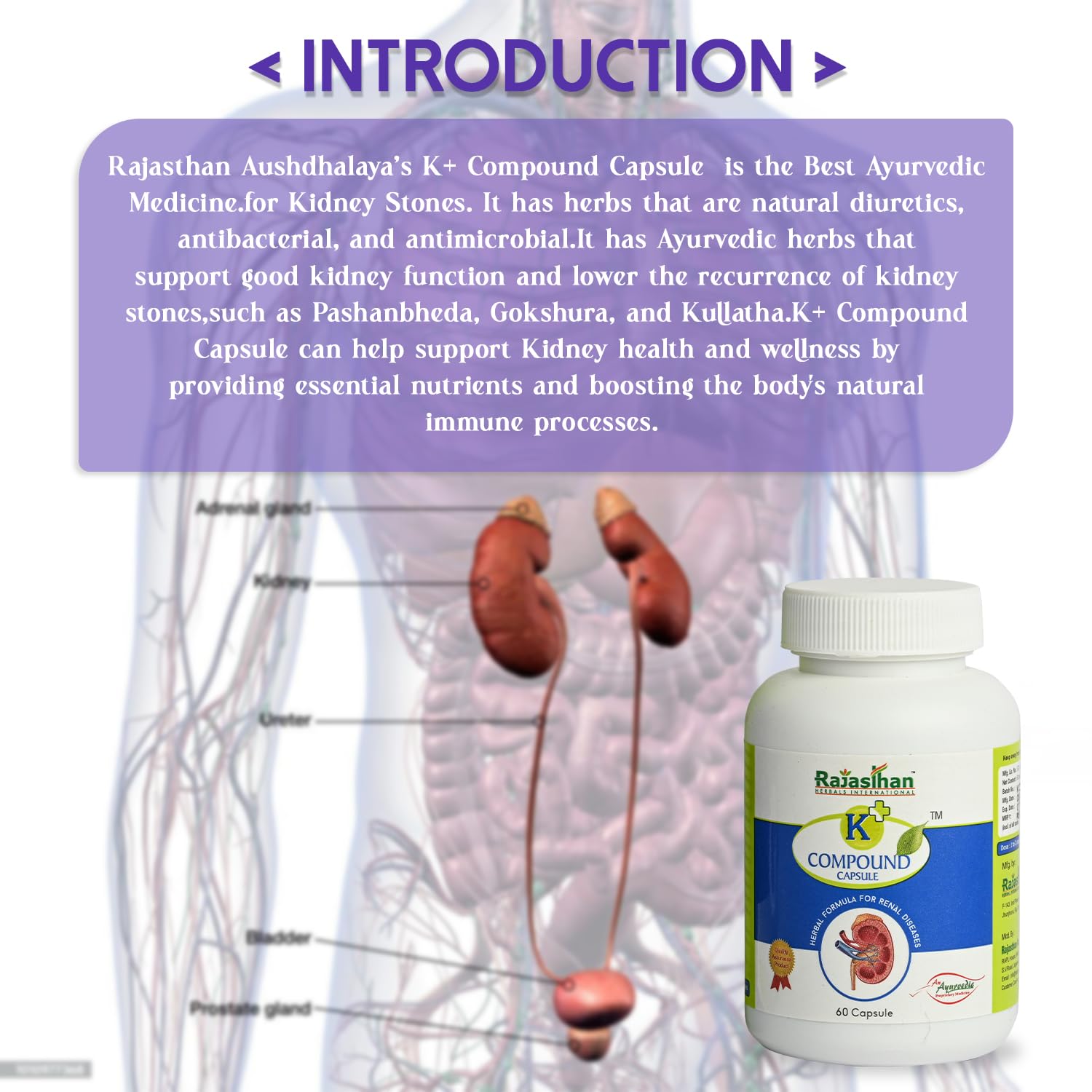 K+ Compound Capsule by Rajasthan Aushdhalaya for – view 3