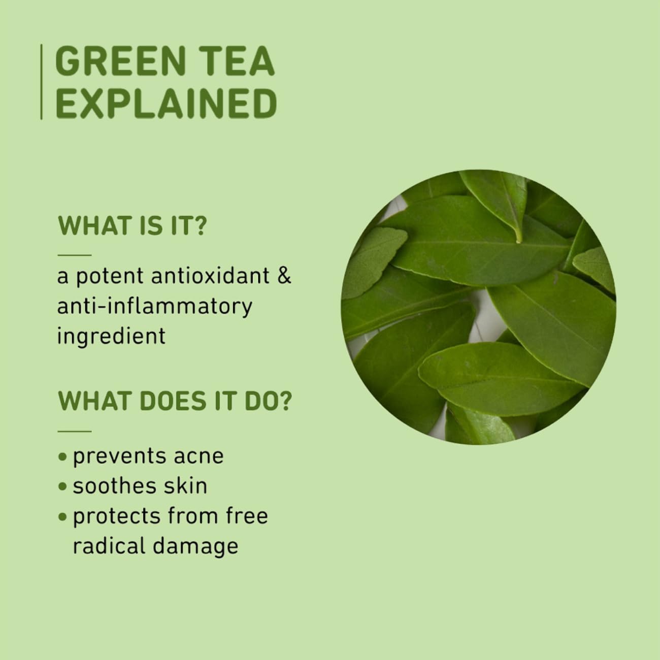 Plum Green Tea Oil-Free Face Moisturizer – view 8