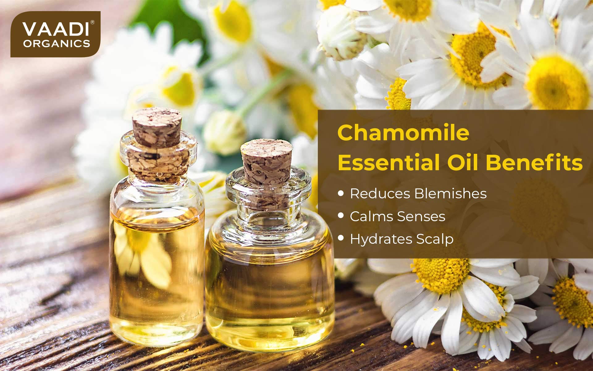 VAADI HERBALS Chamomile Essential Oil - Reduces Blemishes, Evens Skin Tone - Relieves Stress, Better Sleep - 100% Pure Therapeutic Grade, 10 ml – view 3