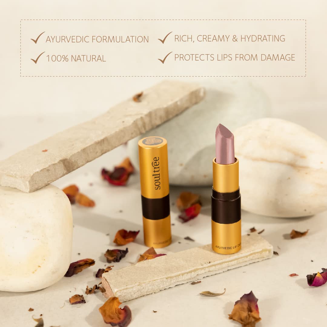 SoulTree Ayurvedic Lipstick - Peachy Mist 540, 4gm – view 5