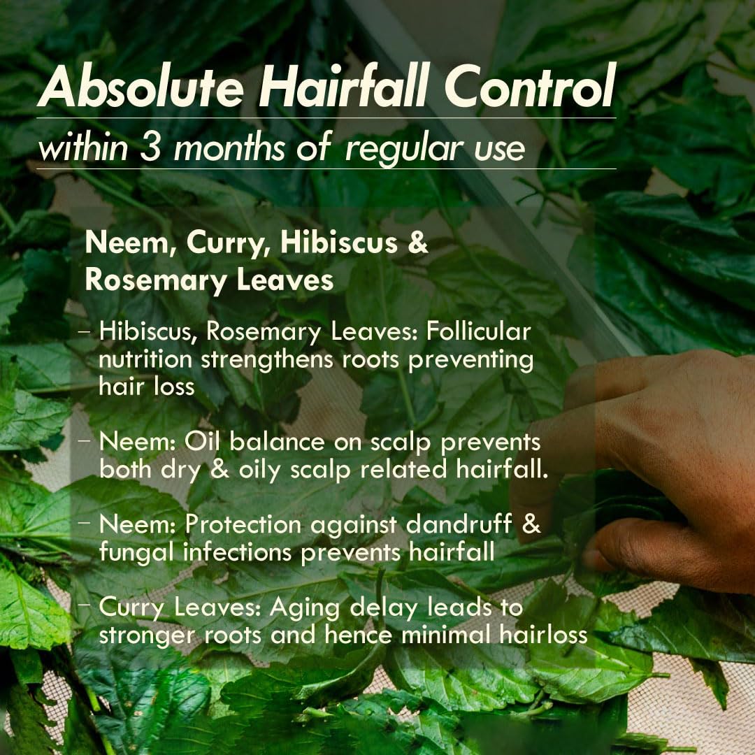 Nat Habit Tri-Leaf Rosemary Hair Oil For Men & Women Hairfall Reduction, Suitable For All Hair Types, No Paraffin, Mineral Oil, Preservatives & Chemicals, 100ml – view 4