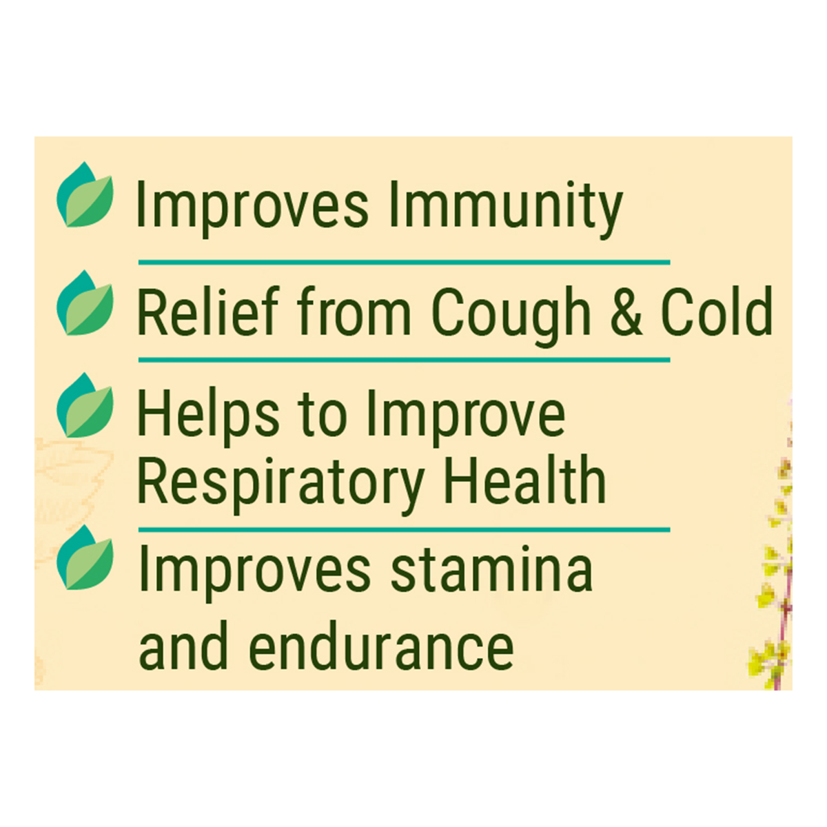Divya Shila Tulsi Drop 30 ml – view 3