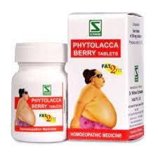 Dr.Willmar Schwabe India - Phytolacca Berry General Wellness Tablets - Pack Of 3 – view 1