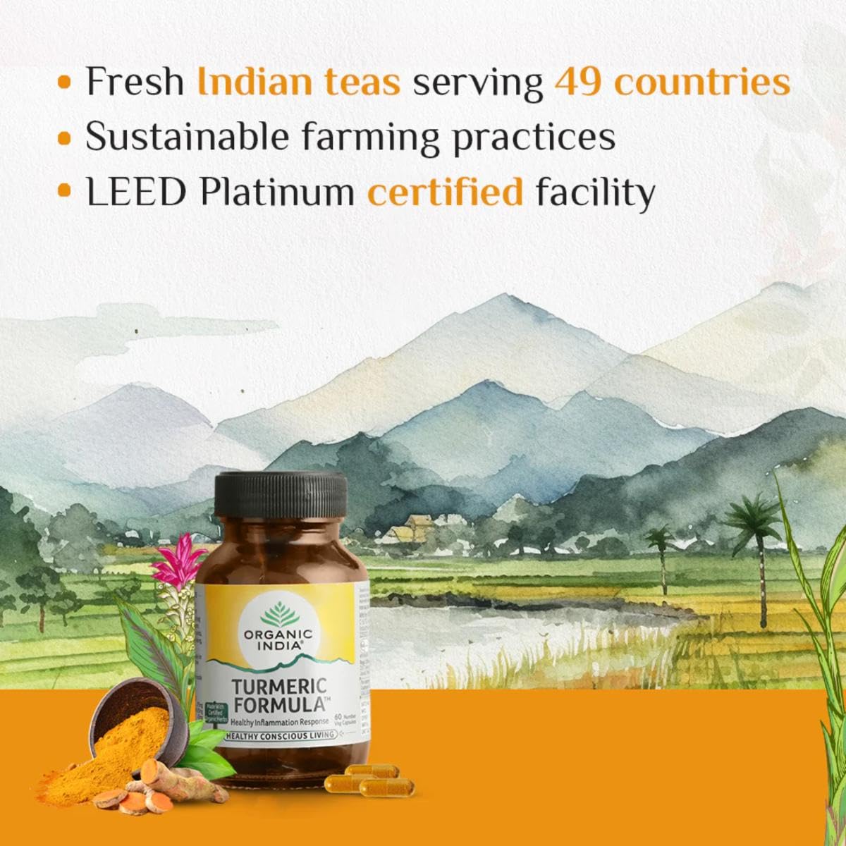 A TATA Product - Organic India Turmeric Formula - 60 Veg Capsules, Natural Anti-Inflammatory, Enhance Immunity, Liver Functions, Improves Metabolism, Skin, Bone & Joint Health, GMP & NPOP Certified – view 4