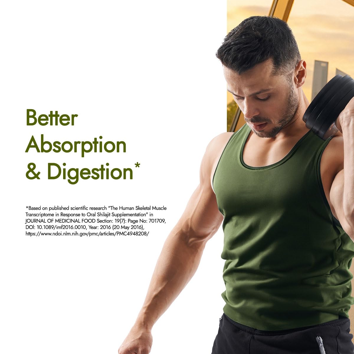 Kapiva Testofuel Shilajit Whey Protein – view 4