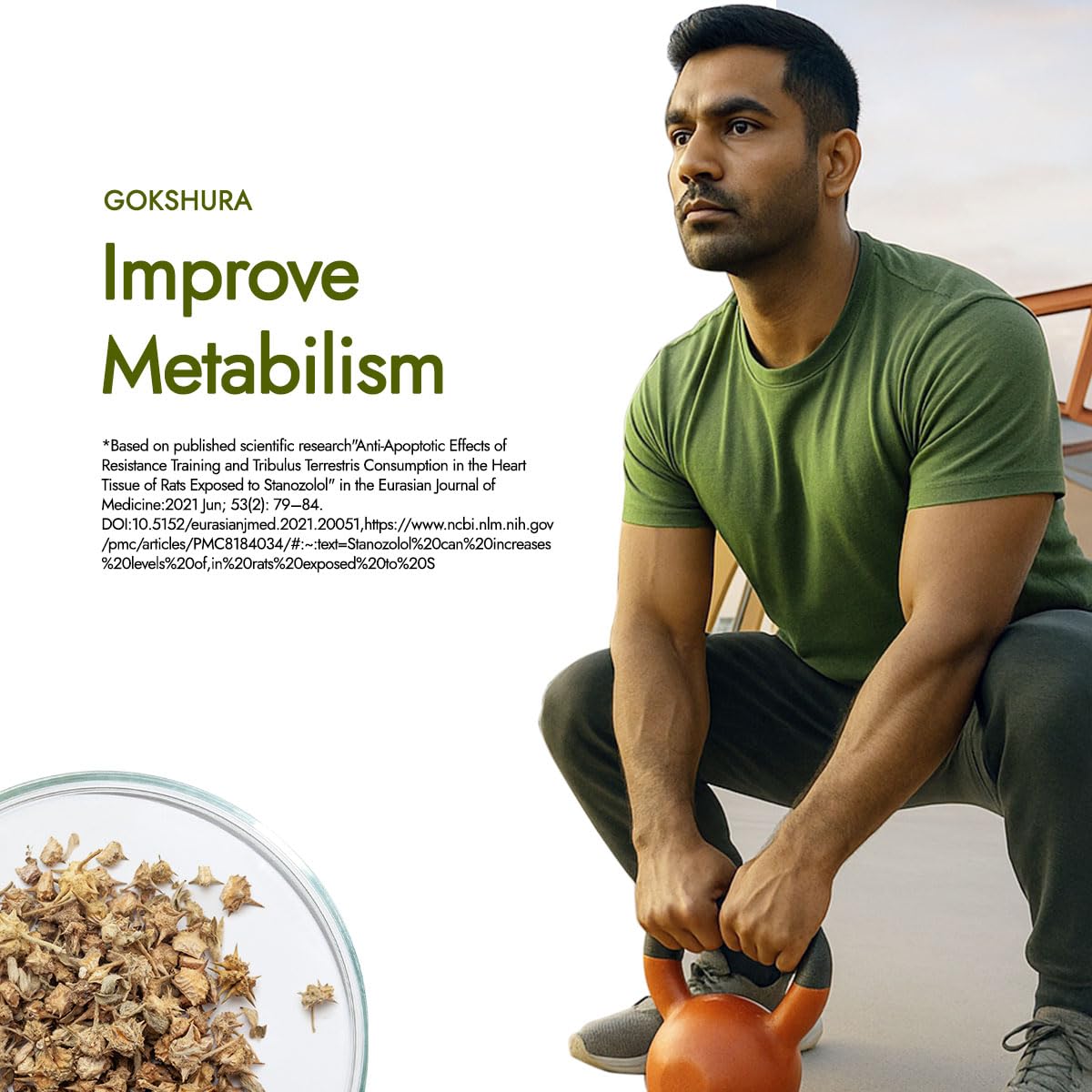 Kapiva Testofuel Shilajit Whey Protein – view 7