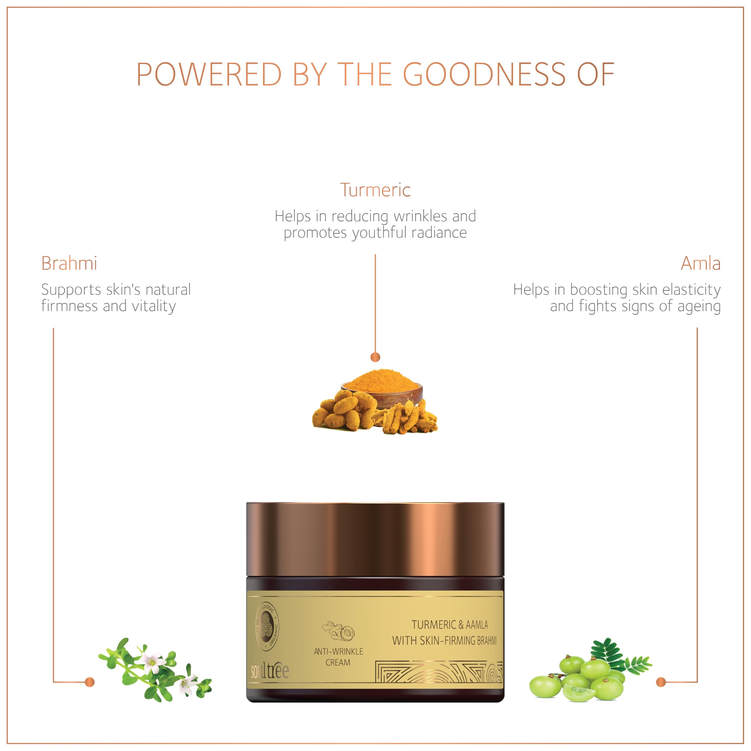 SoulTree Anti-Wrinkle Cream With Turmeric, Aamla & Skin Firming Brahmi, For Dry to Normal Skin, Nourishes, Firms, and Revitalizes with Natural Ingredients 25gm – view 2
