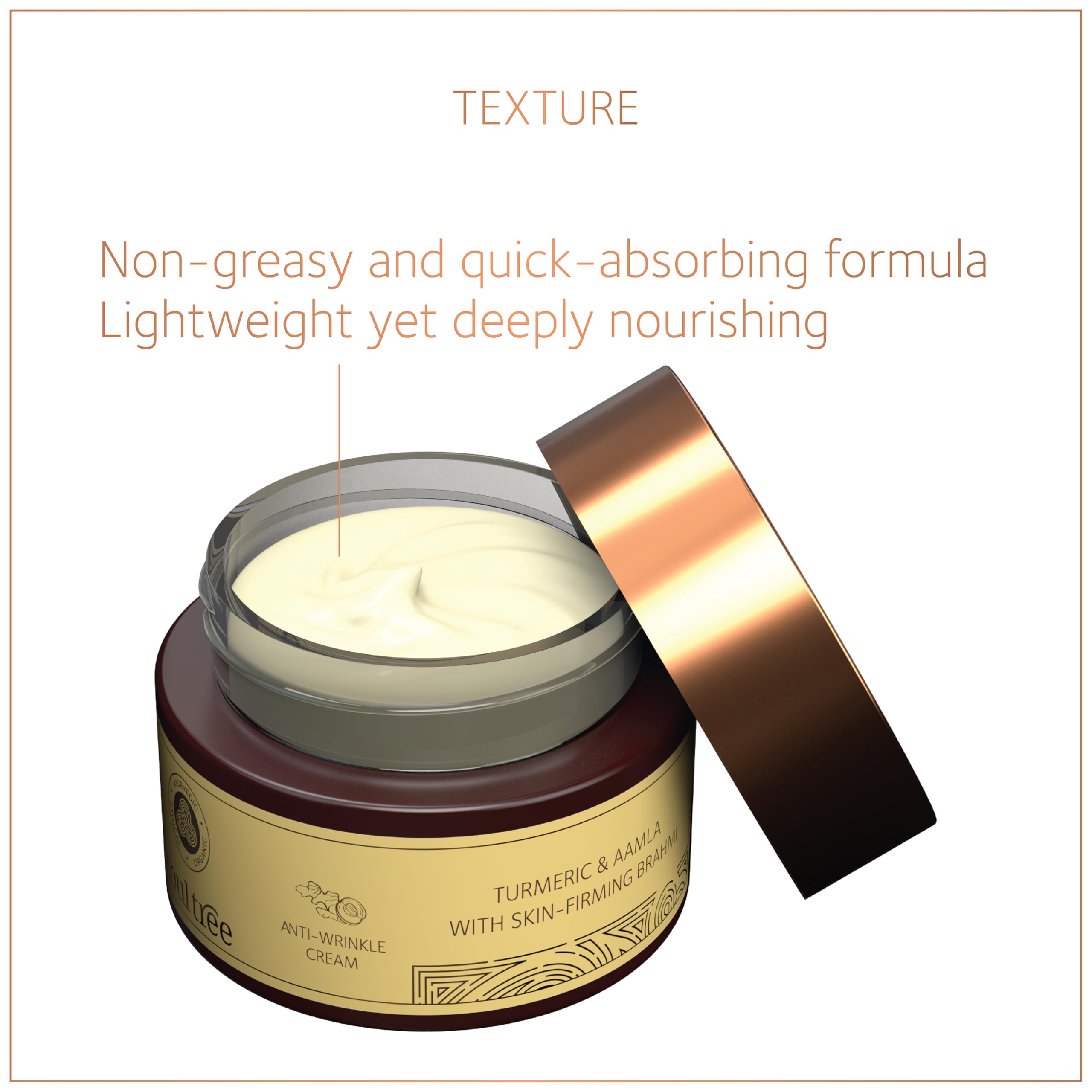 SoulTree Anti-Wrinkle Cream With Turmeric, Aamla & Skin Firming Brahmi, For Dry to Normal Skin, Nourishes, Firms, and Revitalizes with Natural Ingredients 25gm – view 4