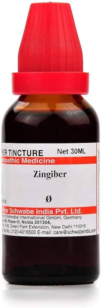 Dr. Willmar Schwabe India Zingiber Q liquid bottles pack of 3