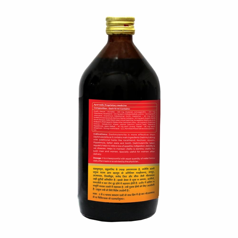 Baidyanath Dashmulamrita Special - 450 ml – view 2
