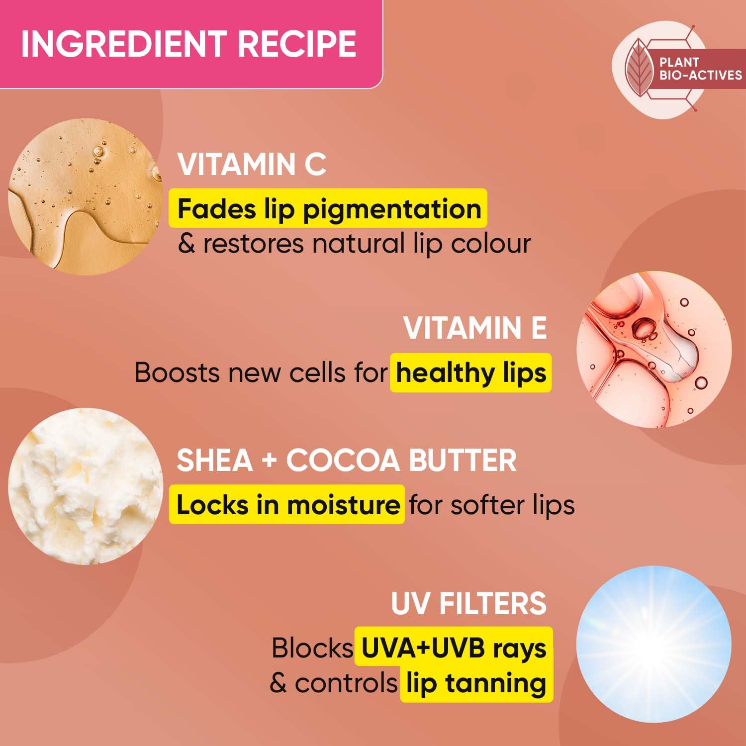 Dot & Key Cocoa Lip Balm with Shea Butter (12gm) for Naturally Glowing and Hydrated Lips – view 5