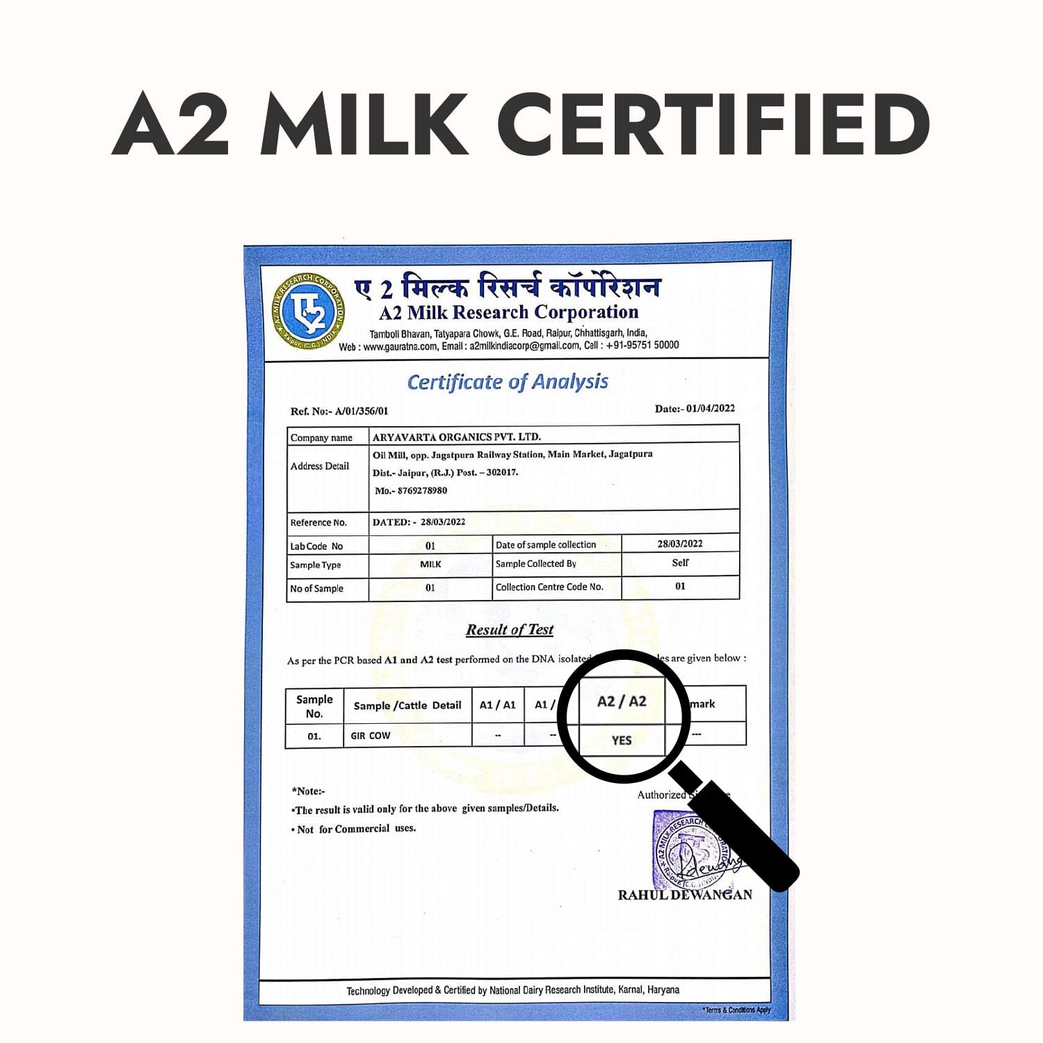 Kapiva A2 Desi Cow Ghee 500Ml – view 9