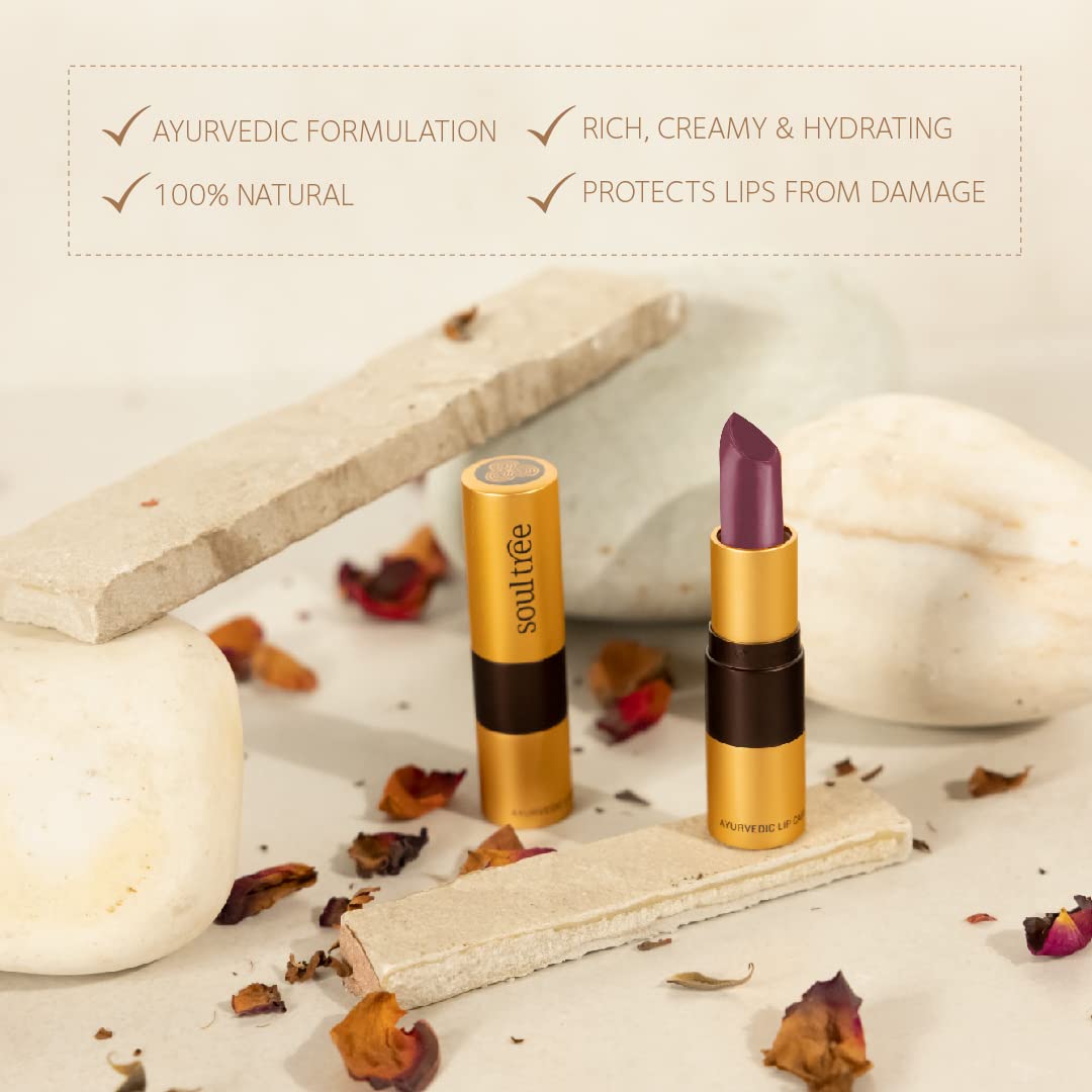 SoulTree Ayurvedic Lipstick - Glistening Loam 511, 4gm – view 5