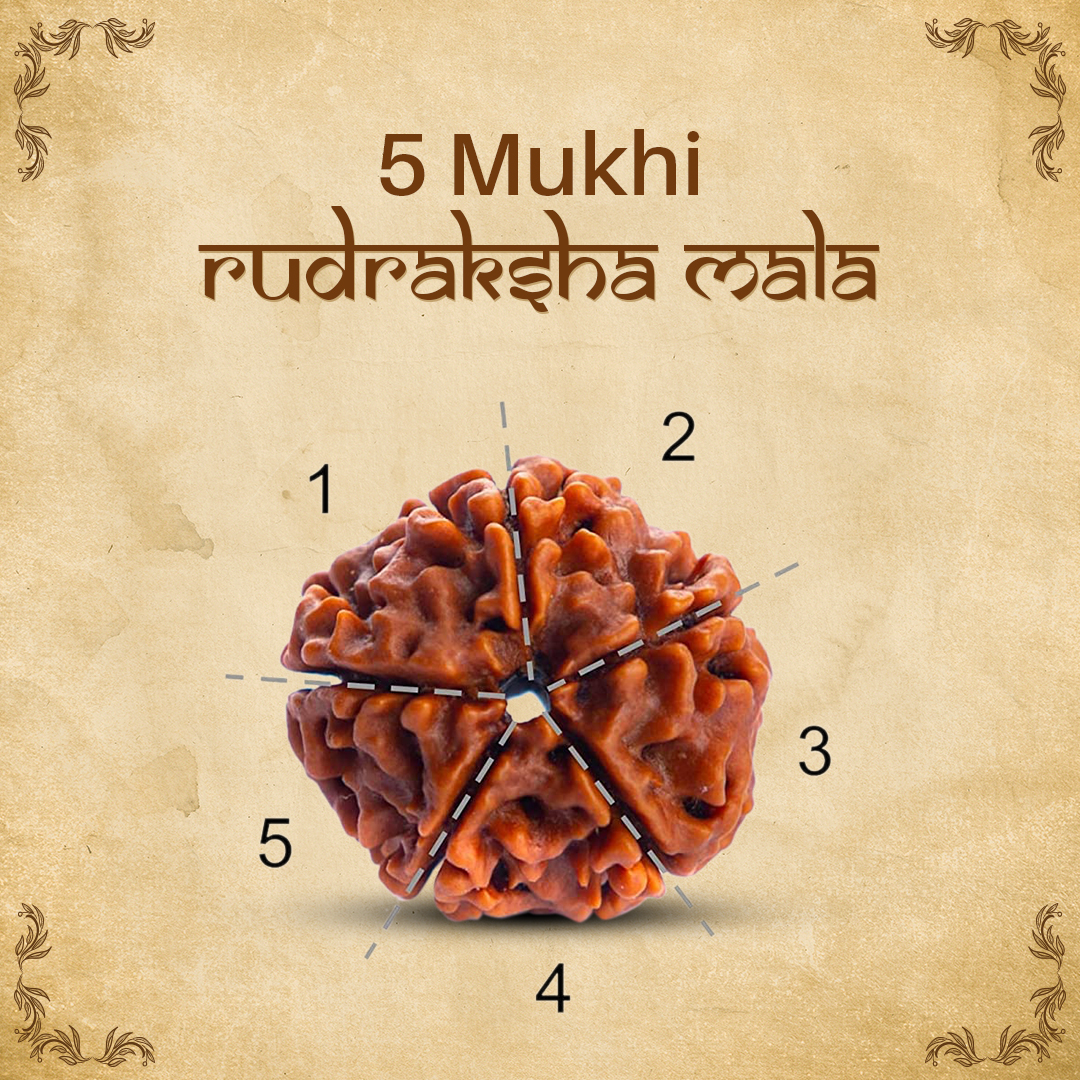 NeuOrigin Sacred Rudraksha Mala - 108 Beads 5 Mukhi Mala - Handmade in India - for Spiritual Awakening and Meditation - Handcrafted in India – view 3