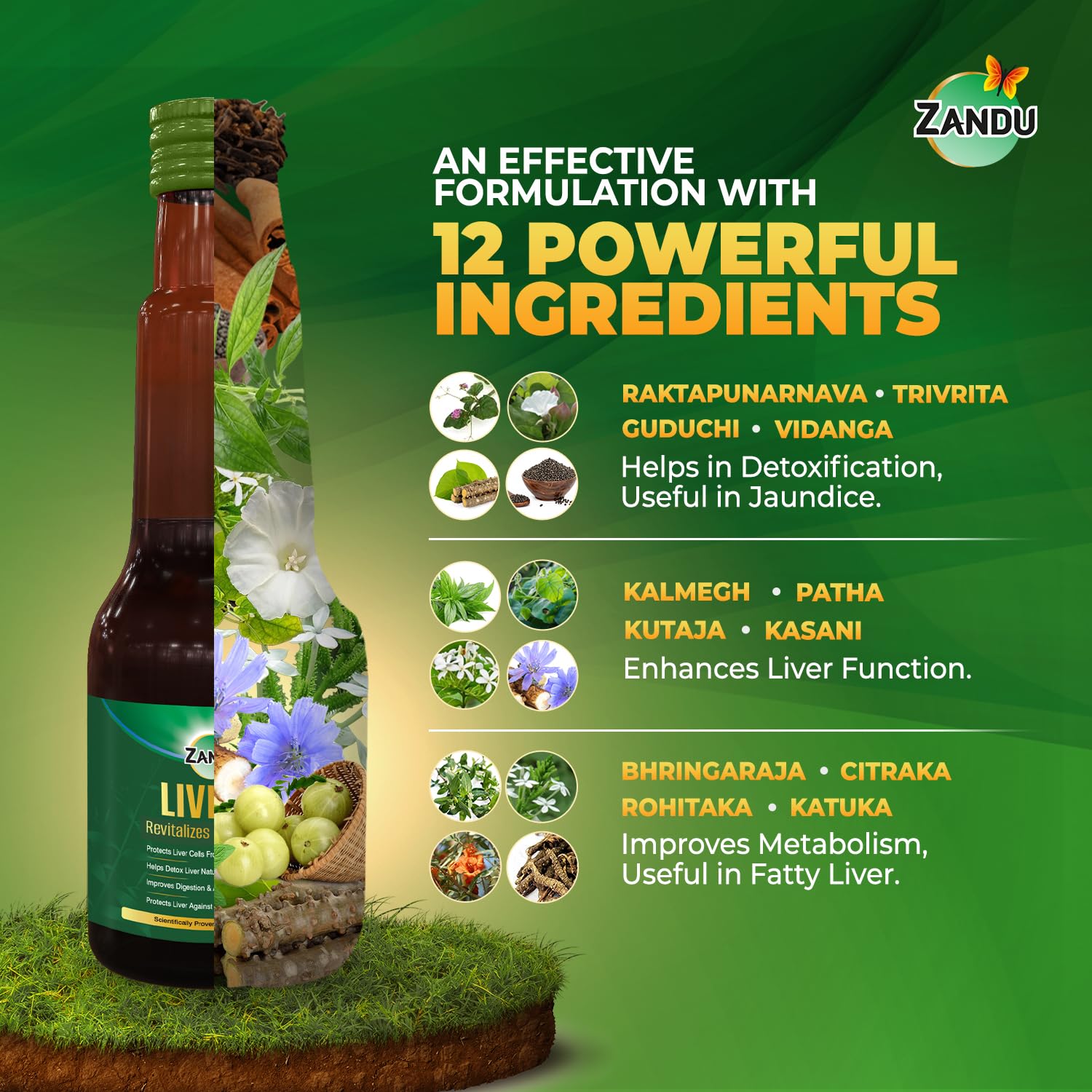Zandu Livital Syrup – view 5