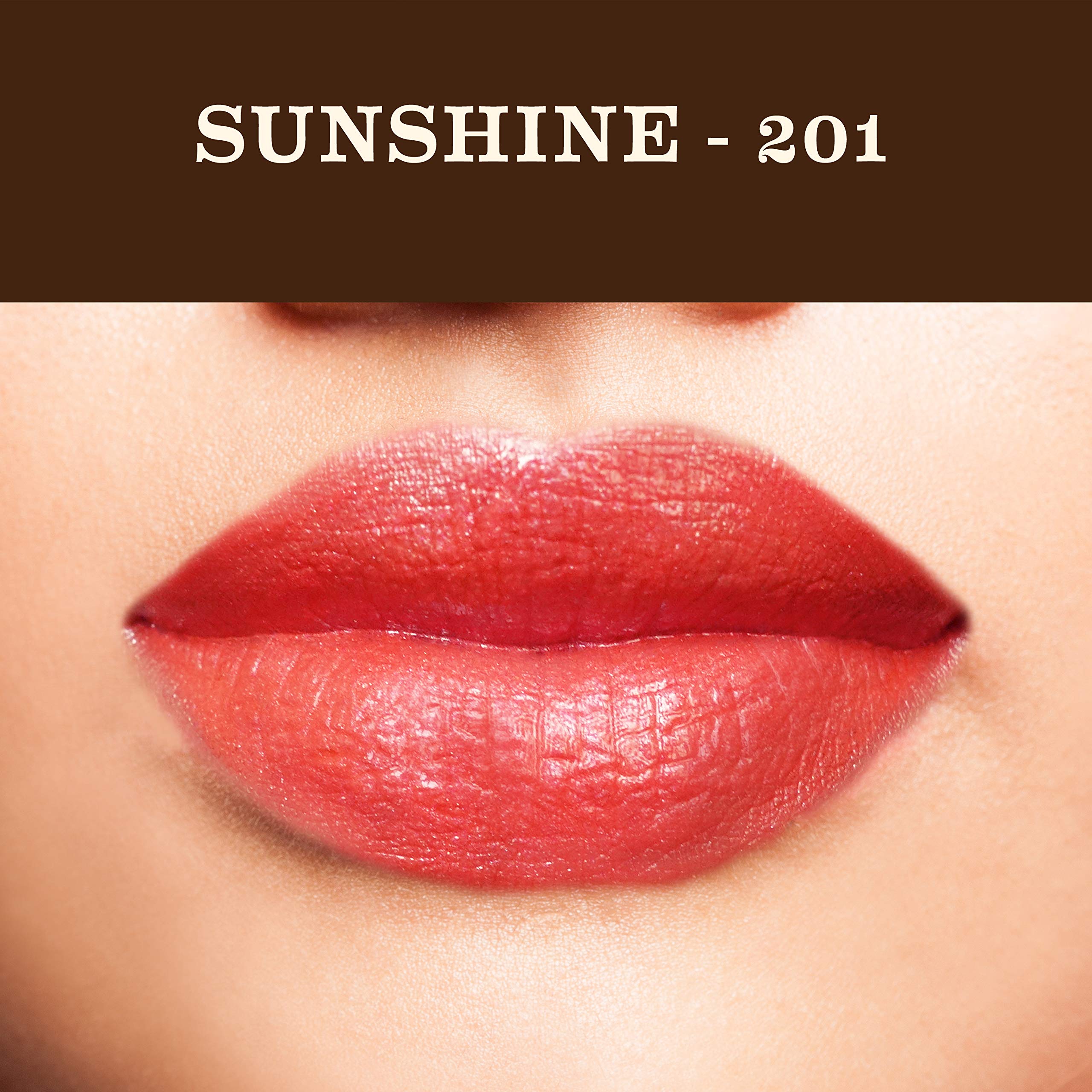 SoulTree Ayurvedic Lip Gloss - Sunshine Colour(201), 5 g – view 4