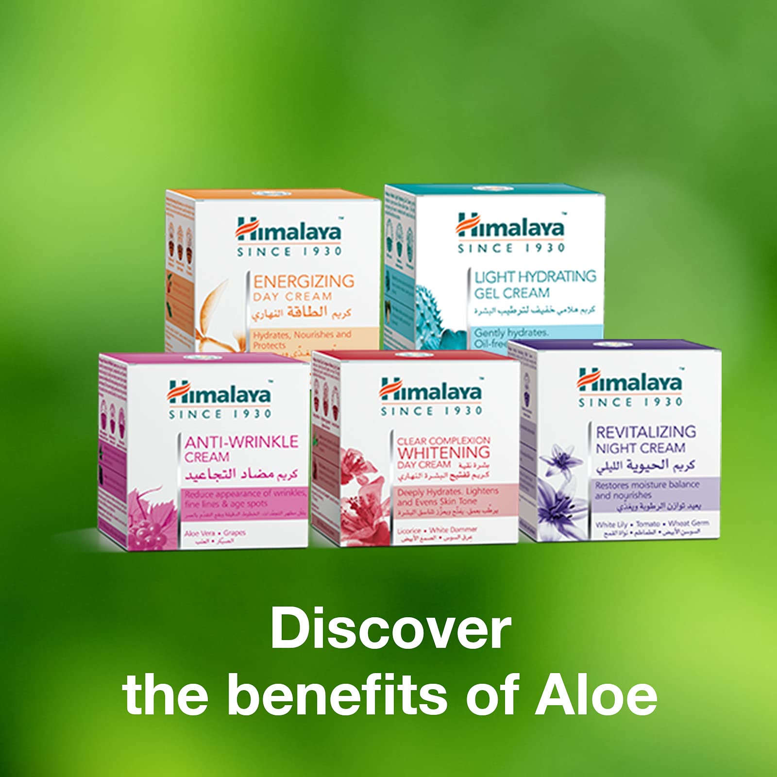 Himalaya Anti-Wrinkle Cream For Men/Women With Aloevera & Grapes – view 4
