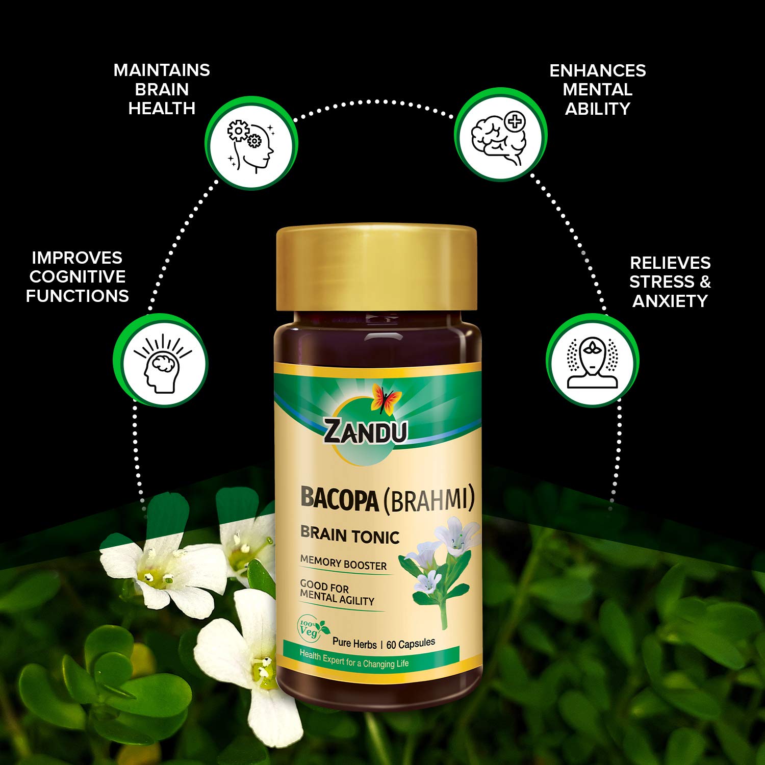 Zandu Bacopa (Brahmi) Capsules: An Age Old Ayurvedic Remedy Made Using Natural Extracts of Brahmi – view 3