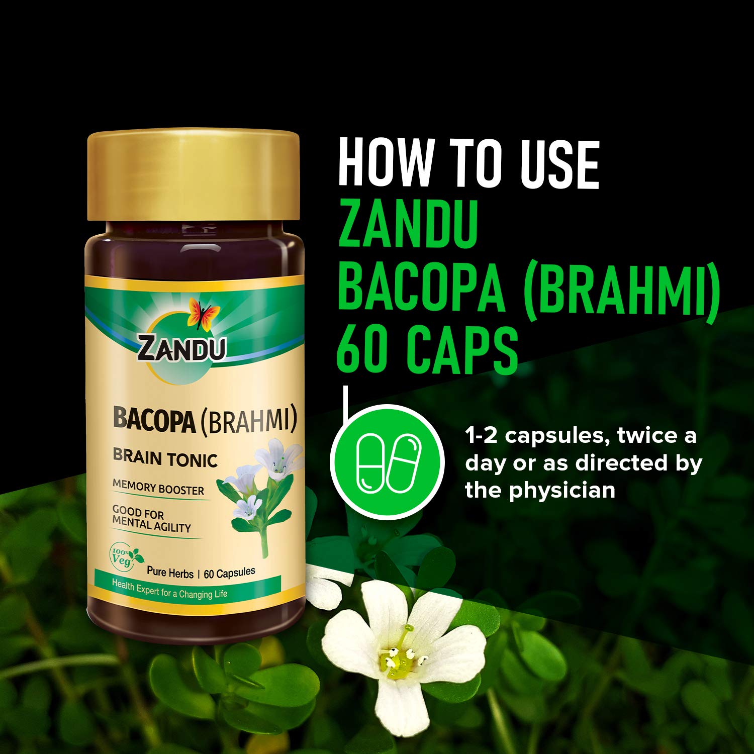 Zandu Bacopa (Brahmi) Capsules: An Age Old Ayurvedic Remedy Made Using Natural Extracts of Brahmi – view 5