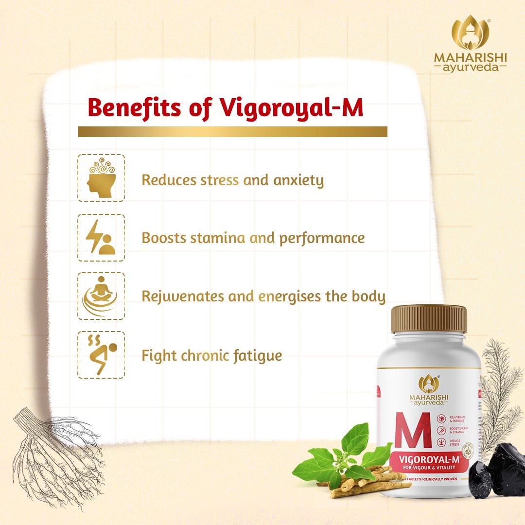 Maharishi Ayurveda Shilajit Tablets – view 3