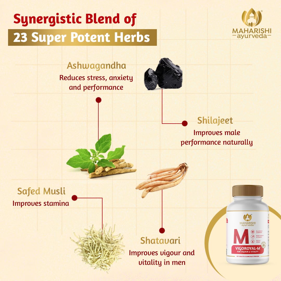 Maharishi Ayurveda Shilajit Tablets – view 4