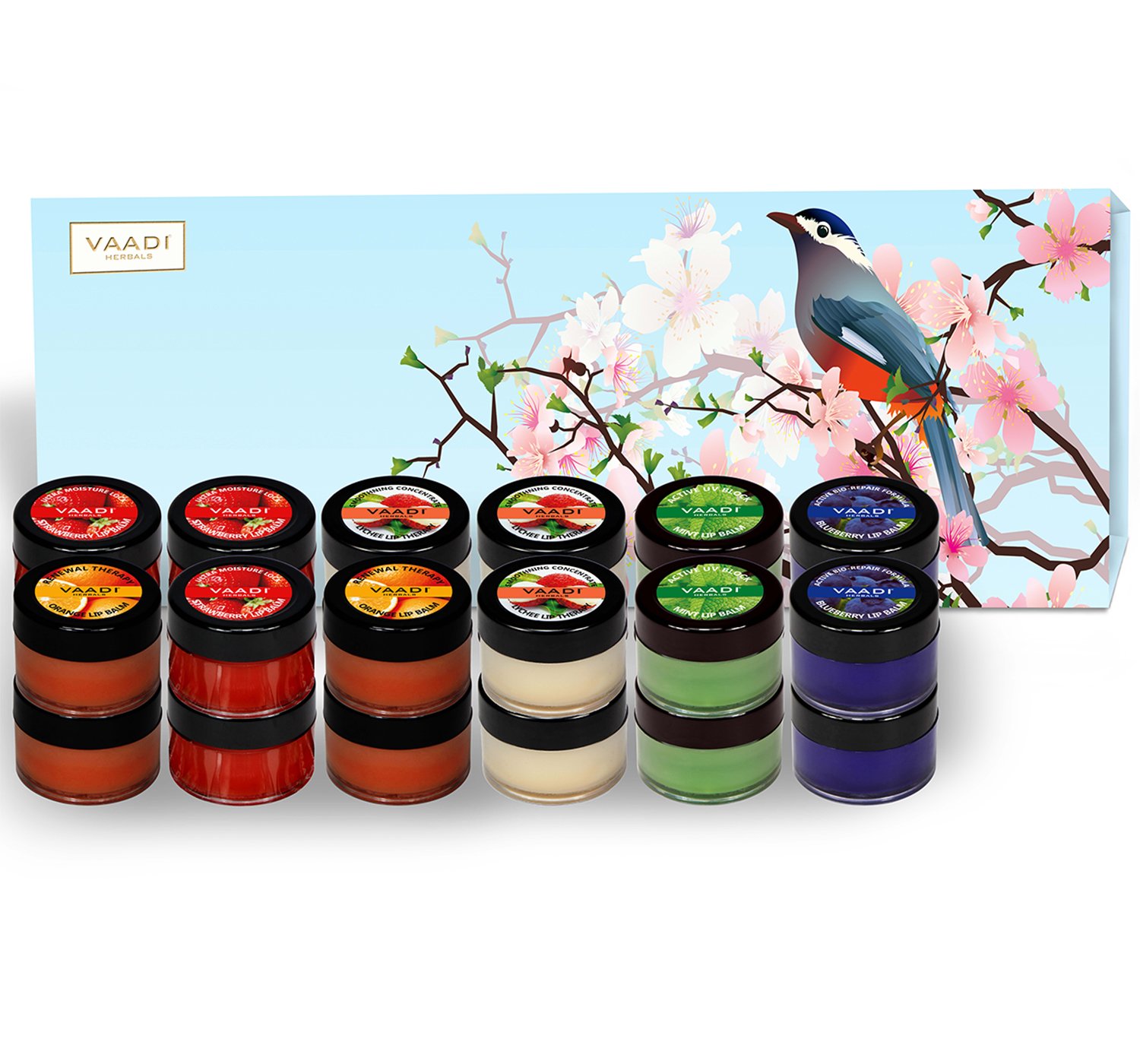 Gift box of 24 Vaadi Herbals assorted lip balms