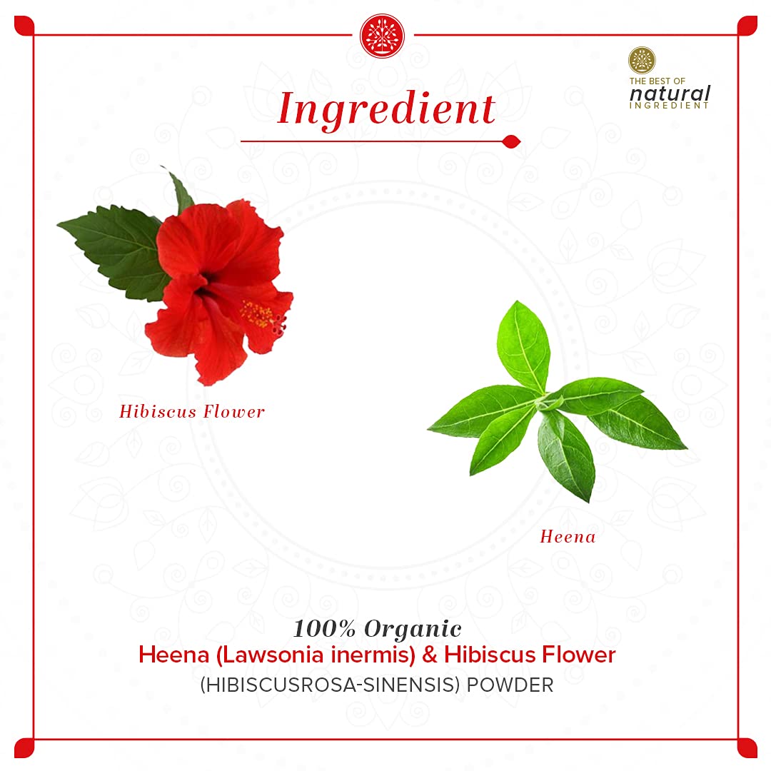 Khadi Natural Henna & Hibiscus Flower Organic Powder – view 6