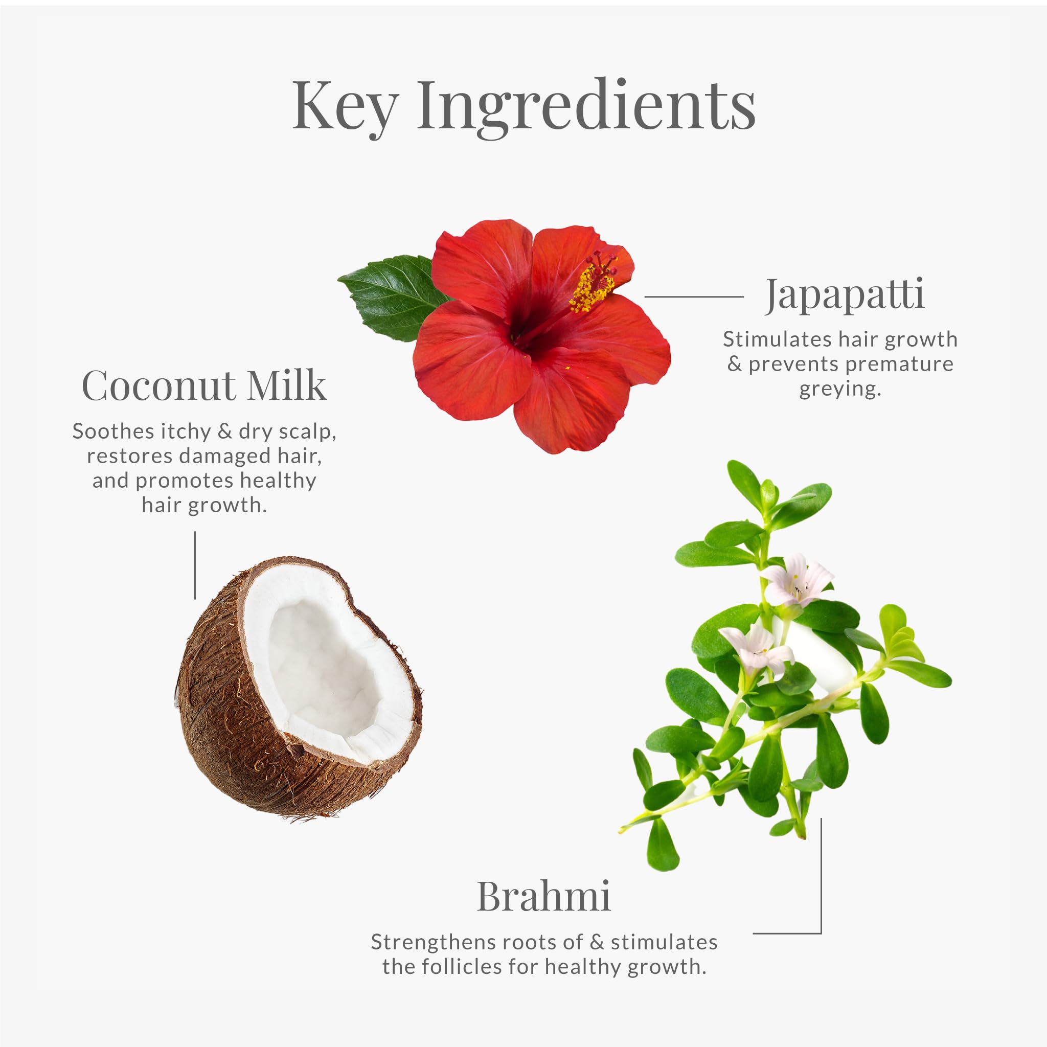Forest Essentials Travel Hair Conditioner Japapatti & Brahmi – view 4