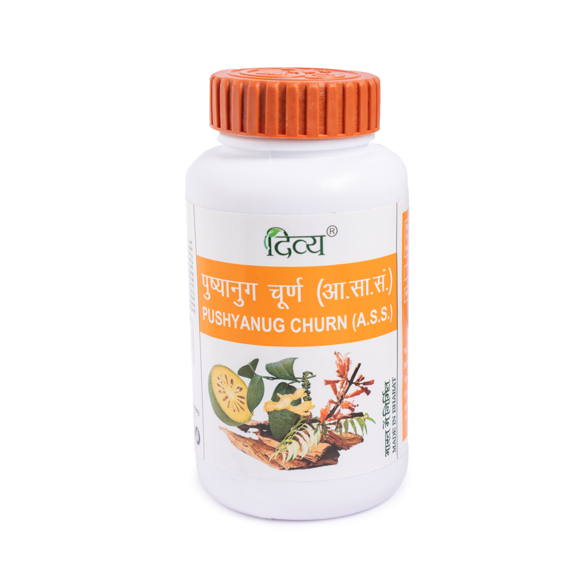 Divya Pushyanug Churna 100 g – view 1