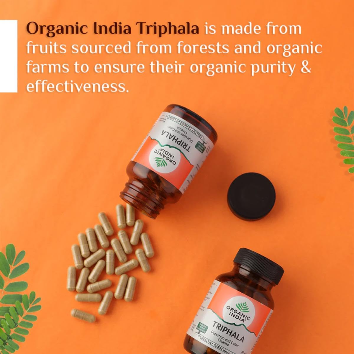 ORGANIC INDIA Triphala Ayurvedic Capsules – view 5