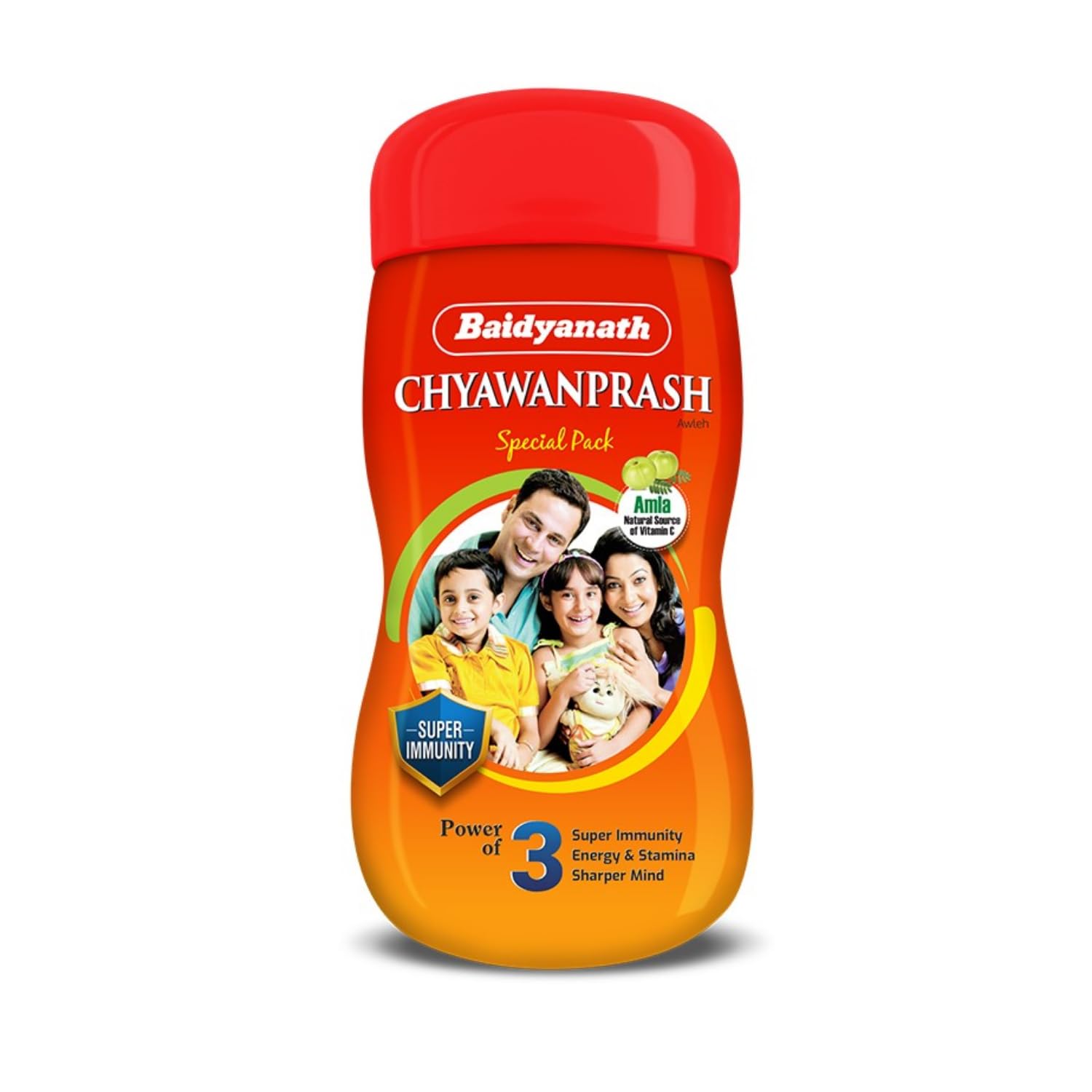 Baidyanath ayurvedic chyawanprash 250g bottle packaging front view