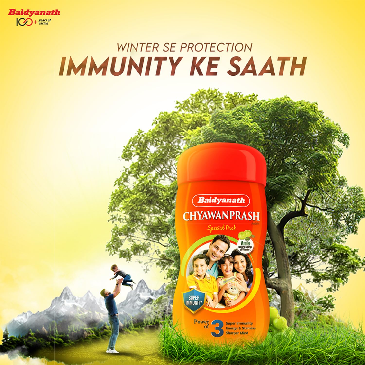 Baidyanath Chyawanprash Special - All Round Immunity and Protection - 250g – view 2