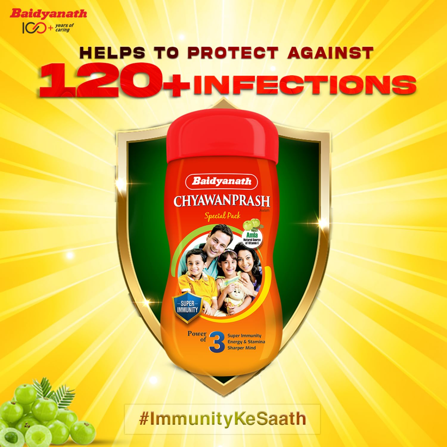 Baidyanath Chyawanprash Special - All Round Immunity and Protection - 250g – view 3