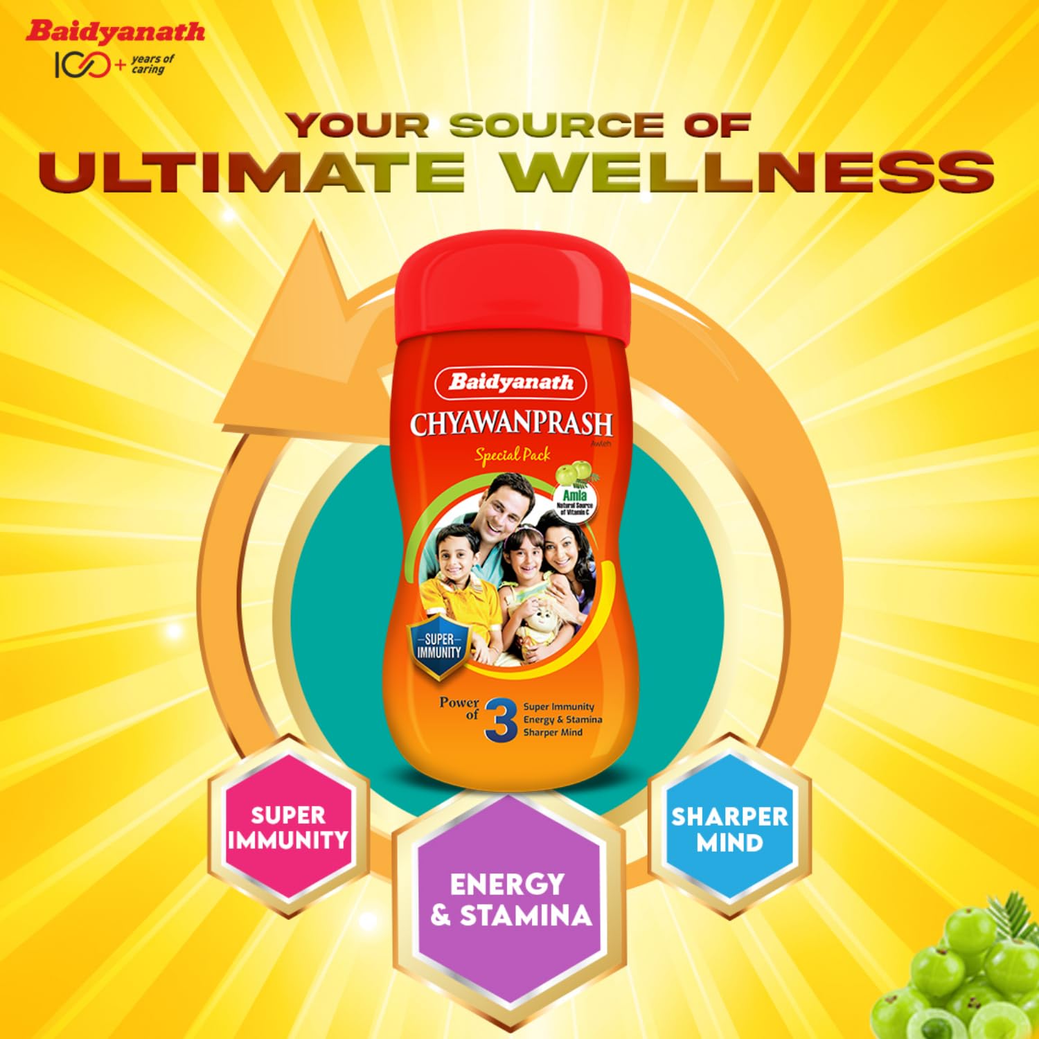 Baidyanath Chyawanprash Special - All Round Immunity and Protection - 250g – view 4