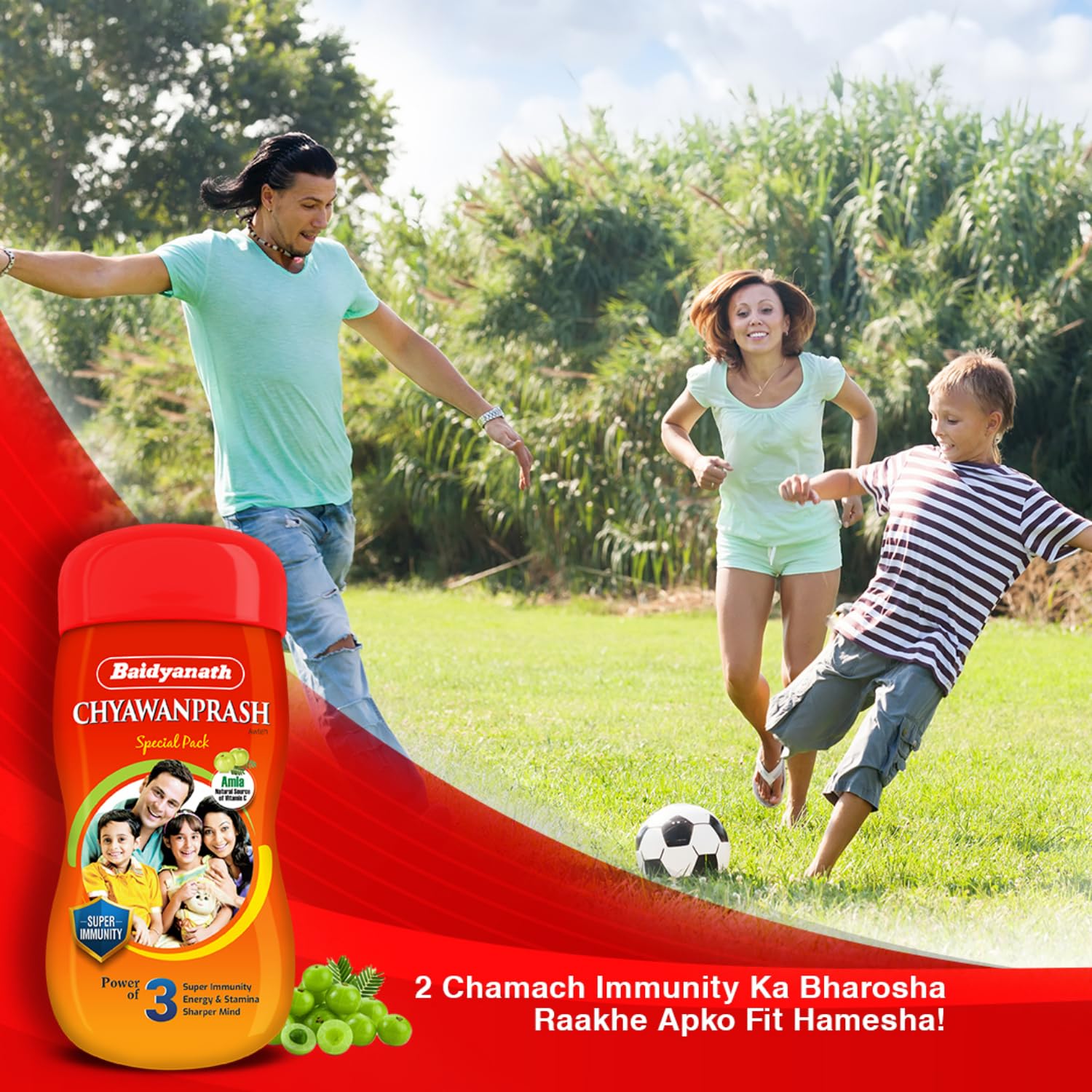 Baidyanath Chyawanprash Special - All Round Immunity and Protection - 250g – view 5