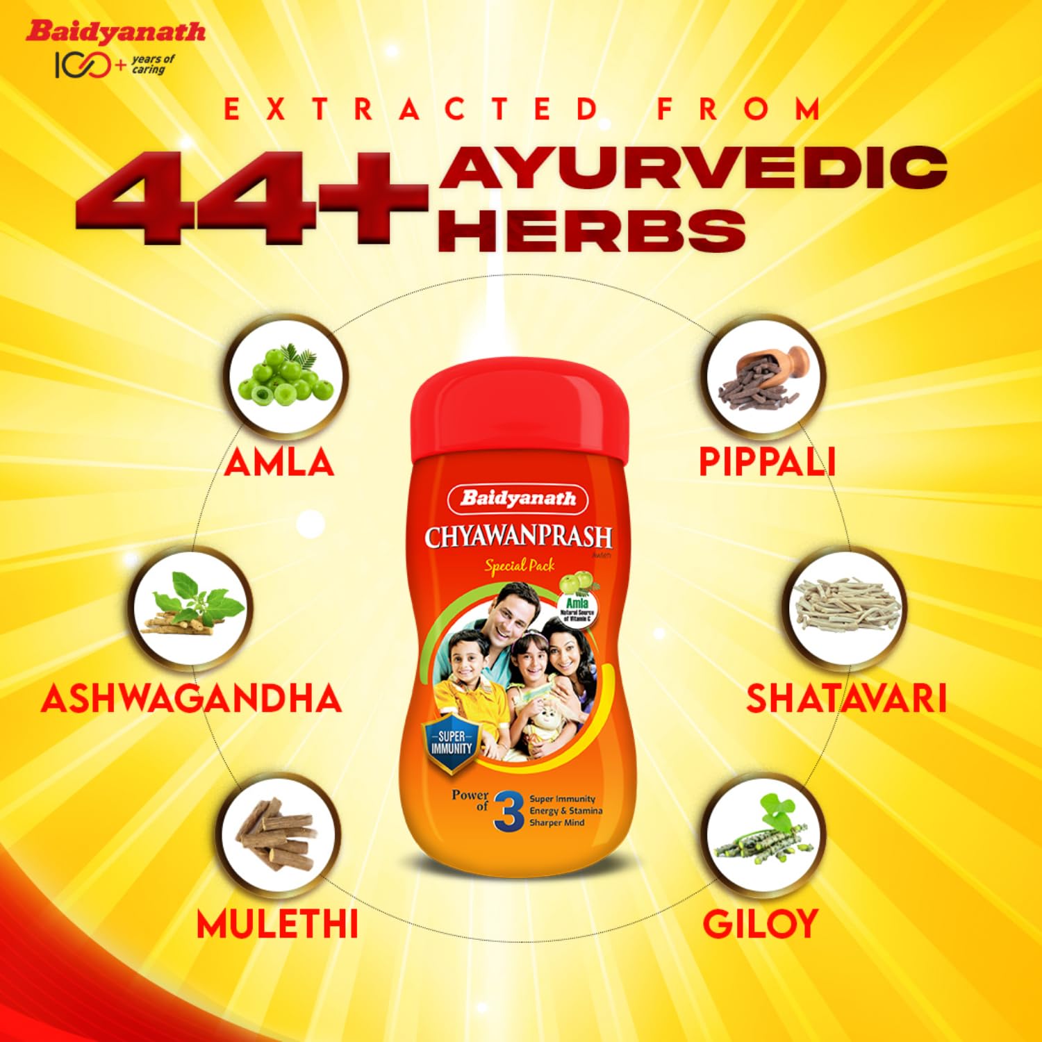 Baidyanath Chyawanprash Special - All Round Immunity and Protection - 250g – view 6