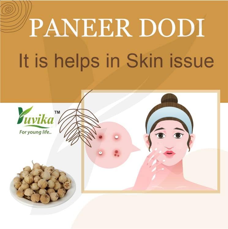 YUVIKA Paneer Dodi - Paneer Ke Phool - Withania Coagulan 250 Grams – view 2