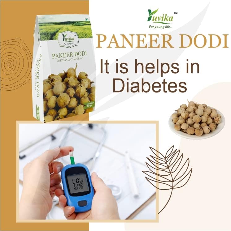 YUVIKA Paneer Dodi - Paneer Ke Phool - Withania Coagulan 250 Grams – view 3