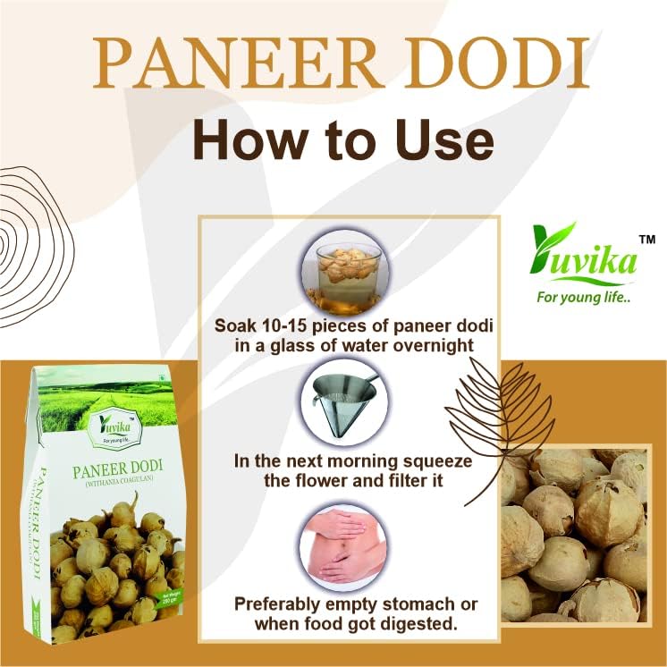 YUVIKA Paneer Dodi - Paneer Ke Phool - Withania Coagulan 250 Grams – view 6