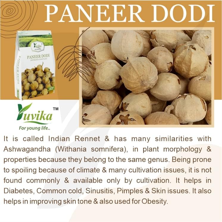 YUVIKA Paneer Dodi - Paneer Ke Phool - Withania Coagulan 250 Grams – view 7