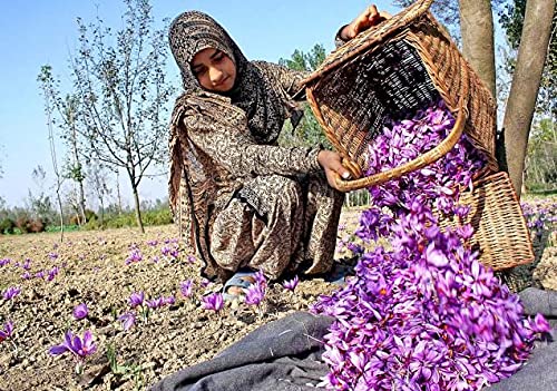 Namo Organics - 1 Gm - Saffron Original Pure Kashmiri Kesar Saffron for Pregnant Women Saffron Threads – view 4