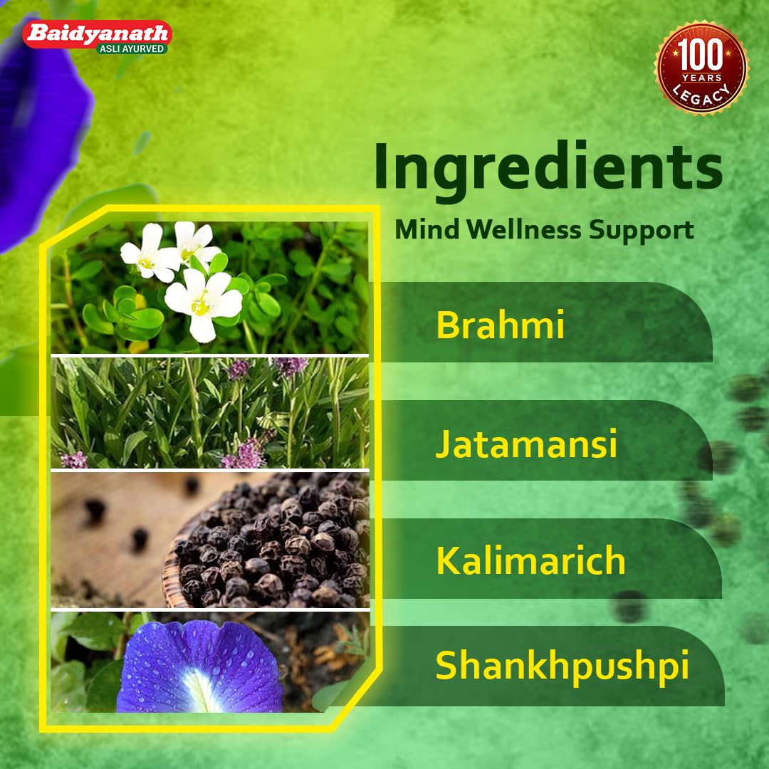 Baidyanath Brahmi Bati - Memory Booster and Helps Relieve Stress - 30 Tablets (Pack of 2) – view 5