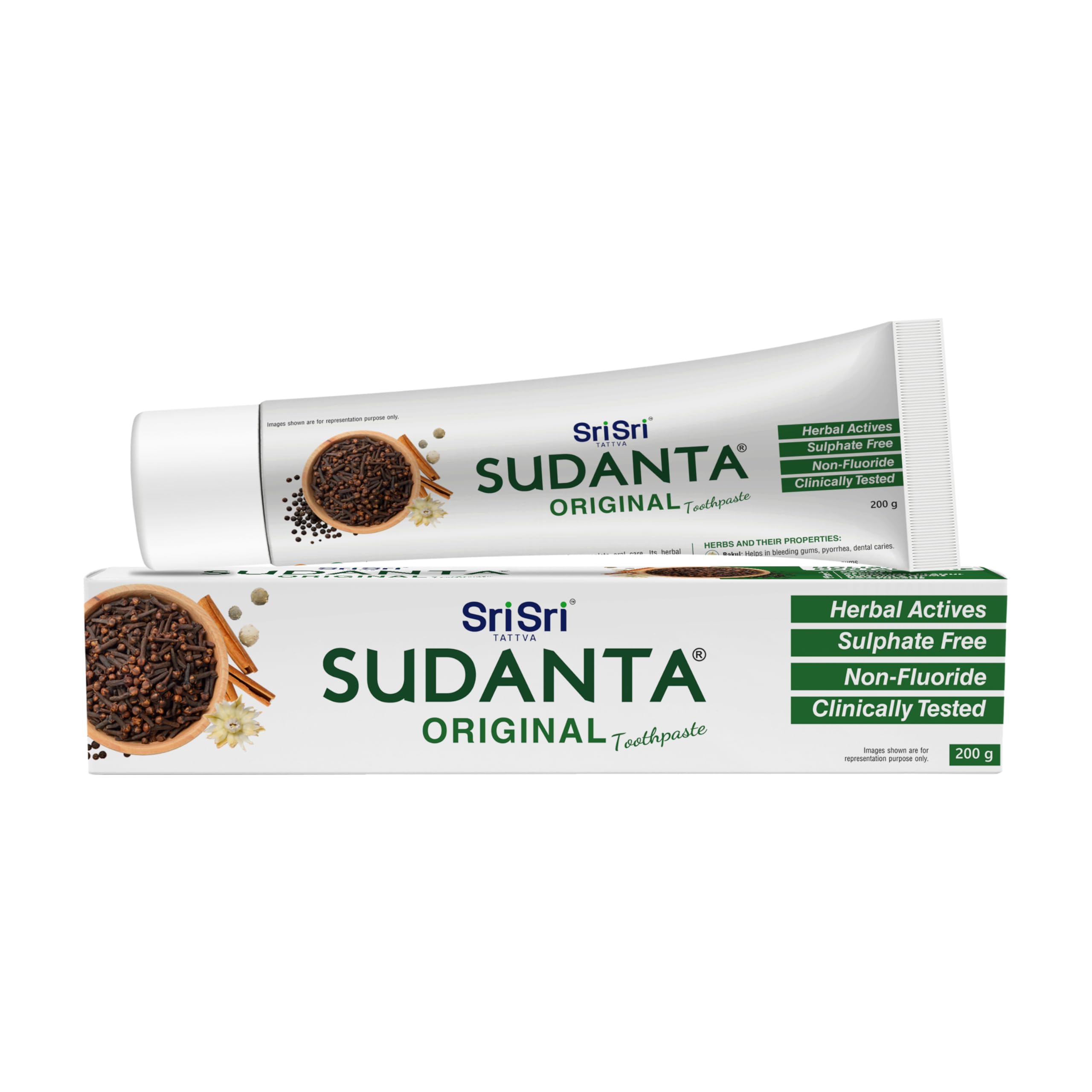 Sri Sri Tattva Sudanta Original Toothpaste - All Natural, Fluoride Free Tooth Paste with Cloves, Cinnamon, Bakul & More - 200g (Pack of 4), for Kids and Adults – view 2