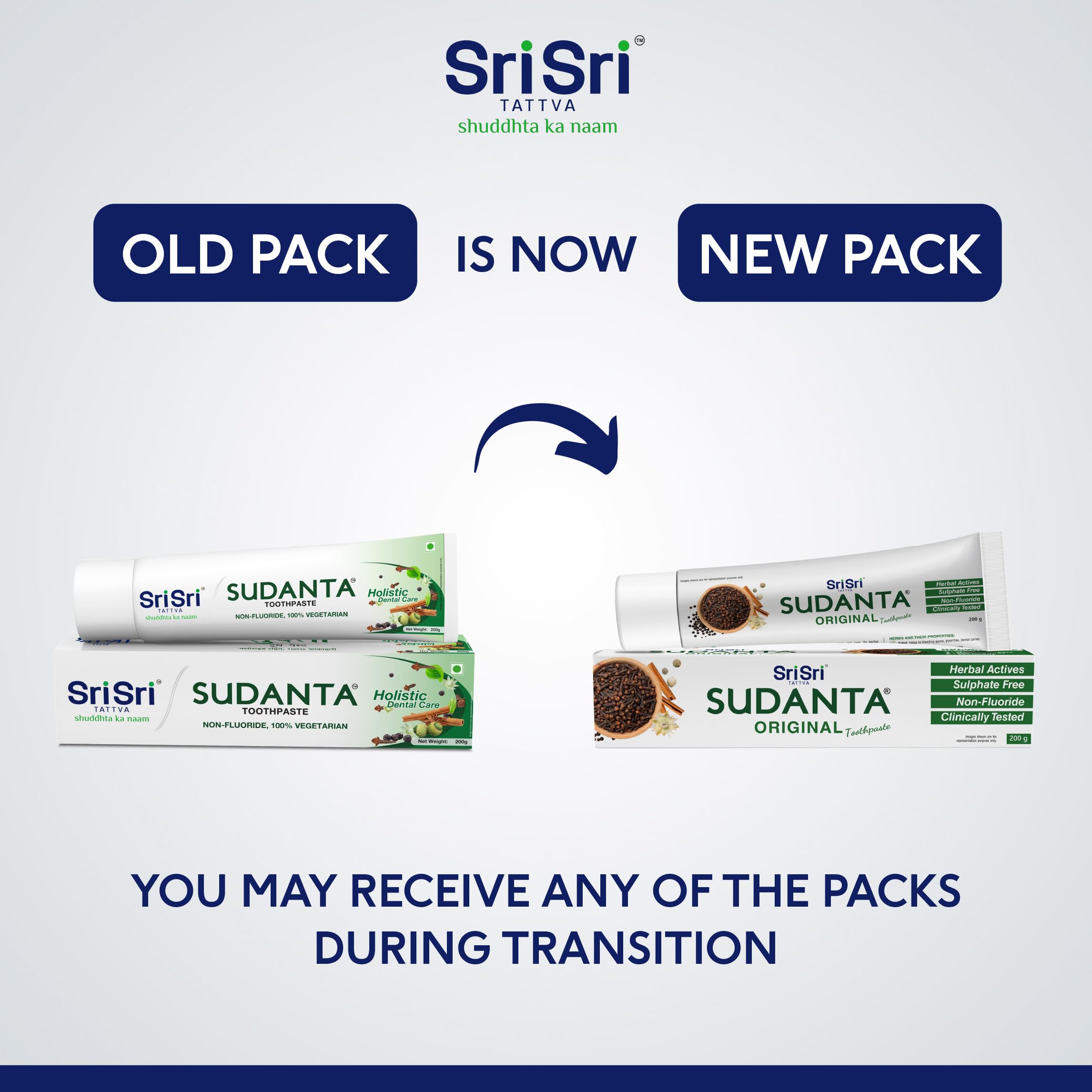 Sri Sri Tattva Sudanta Original Toothpaste - All Natural, Fluoride Free Tooth Paste with Cloves, Cinnamon, Bakul & More - 200g (Pack of 4), for Kids and Adults – view 3