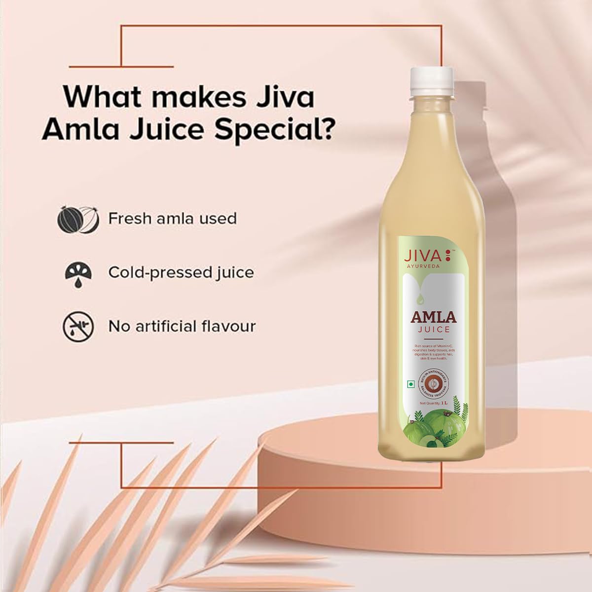 Jiva Amla Juice - 1L(Pack of 2) – view 4