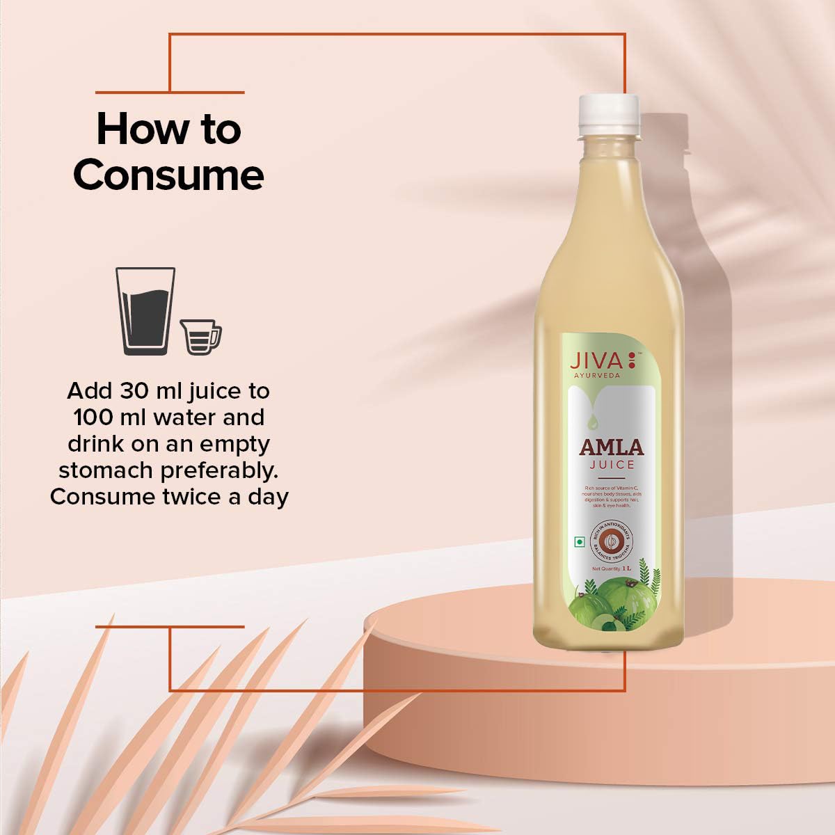 Jiva Amla Juice - 1L(Pack of 2) – view 5