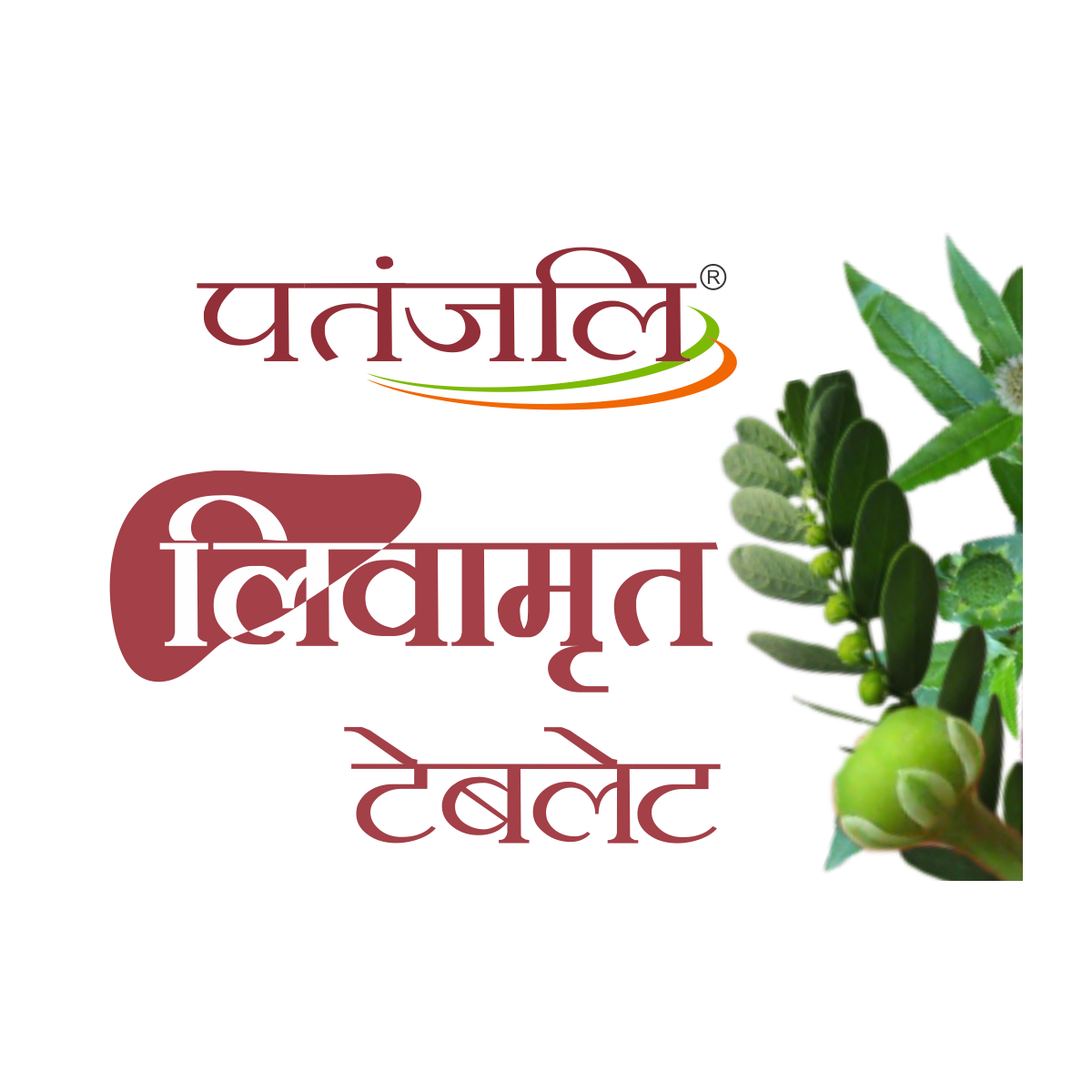 Patanjali Livamrit Tablet 33 g – view 4